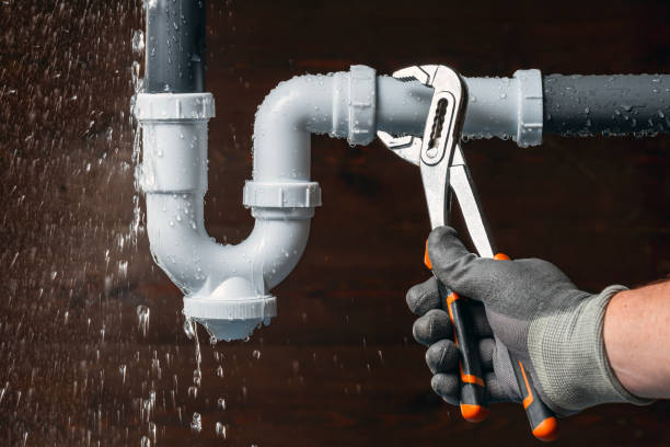 Professional Leak Detection technician working in Sapelo Island, GA